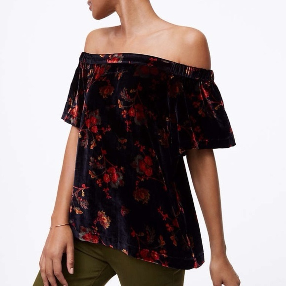Loft Fall black Floral Velvet Off The Shoulder Top  Women XXSP